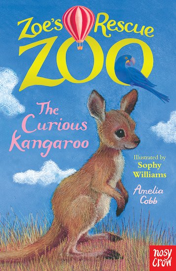 The Curious Kangaroo