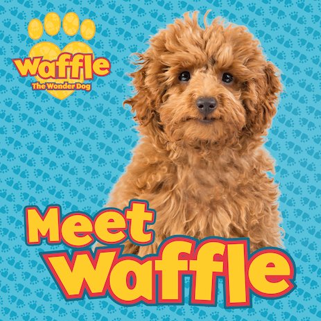 Meet Waffle