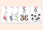 Numbers words, pictures and symbols cards