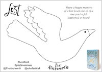 Lost by Eve Ainsworth memory bird activity