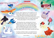 ‘A rainbow of birds’ poem poster