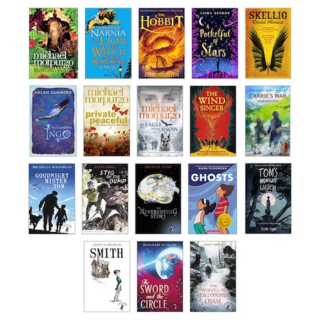 Gifted Readers Ages 11+ Pack x 22