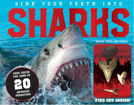 Sink Your Teeth into Sharks