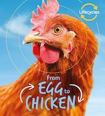 QED Lifecycles: From Egg to Chicken