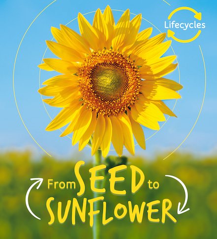 QED Lifecycles: From Seed to Sunflower