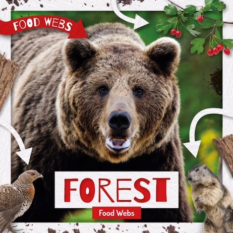Food Webs: Forest