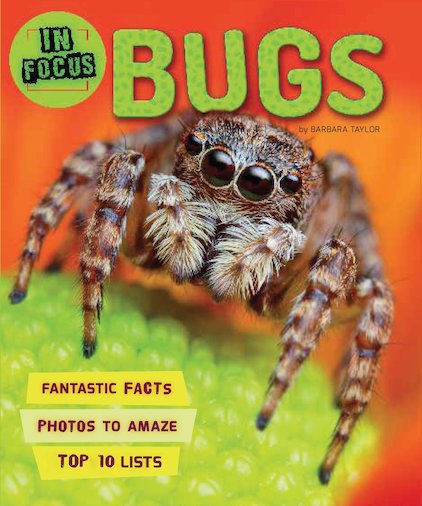 In Focus: Bugs