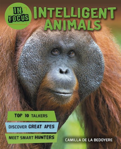 In Focus: Intelligent Animals - Scholastic Shop