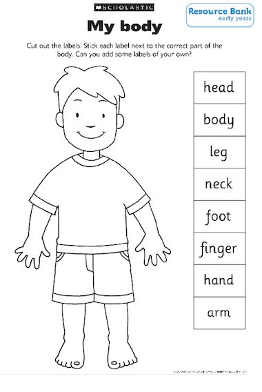 My Body Early Years Teaching Resource Scholastic
