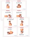 Position words flashcards