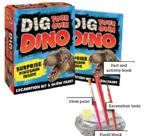 Dig Your Own Dino Activity Kit