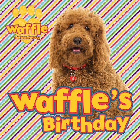 Waffle the Wonder Dog Waffle's Christmas 
