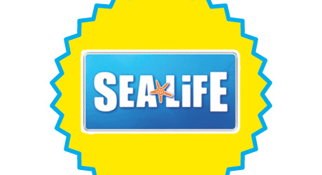 prize tile 16.jpg prize tile 16.jpg