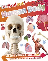 DK Findout! Human Body
