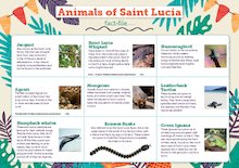 Animals of Saint Lucia