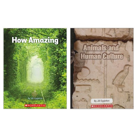 Rewards Value Pack: Connectors - How Amazing and Animals and Human Culture x 12 (6 copies of each)