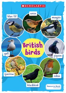 British garden birds poster