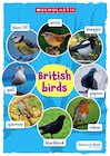 British garden birds poster