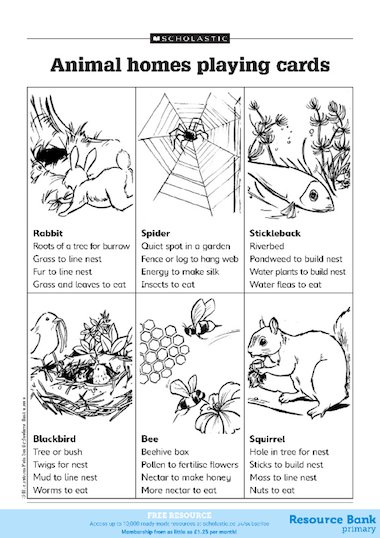 Animal homes playing cards – FREE Primary KS1 teaching resource - Scholastic