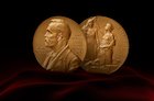 The Nobel Prize was established