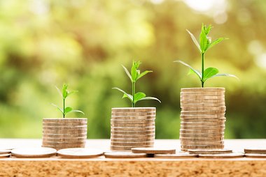 Money growing Money growing