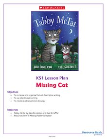 Tabby McTat KS1 lesson plan pack – Missing Cat
