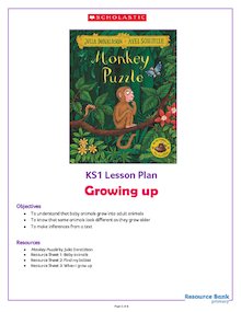 Monkey Puzzle KS1 Activity Pack
