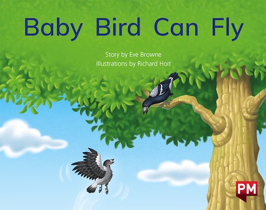 Baby Bird Can Fly (PM Storybooks) Level 3