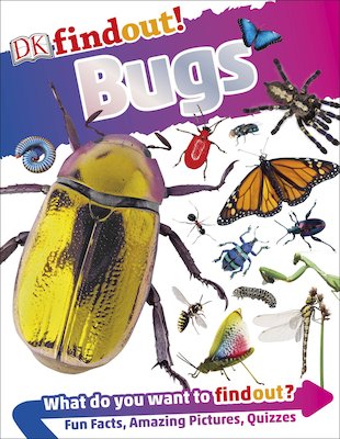 DK Findout! Bugs