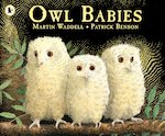 Owl Babies x 6