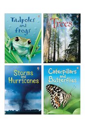 Usborne Beginners Book Band Purple Pack x 4