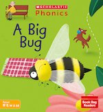 A Big Bug (Set 3) x6 Pack Matched to Little Wandle Letters and Sounds Revised