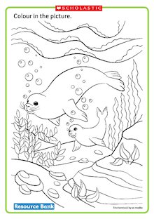 Seals underwater colouring page