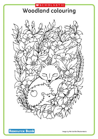 Woodland animals colouring sheet – FREE Early Years teaching resource