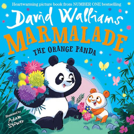 Marmalade - the Orange Panda