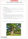 Resource Sheet: Teacher Notes – The Majestic Oak
