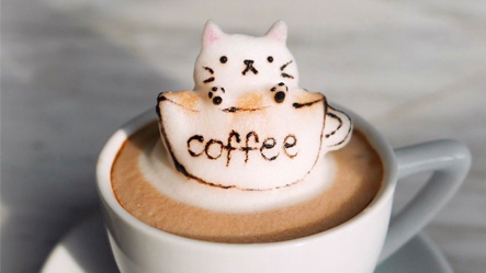 catcoffee.png