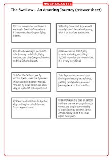 The Swallow – An Amazing Journey (answer sheet)