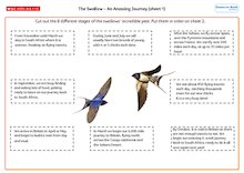 The Swallow – An Amazing Journey (sheet 1)