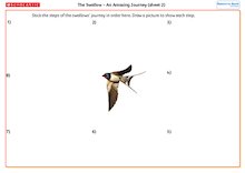 The Swallow – An Amazing Journey (sheet 2)