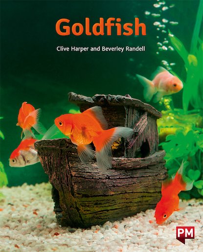 PM Orange: Goldfish (PM Non-fiction) Level 15/16