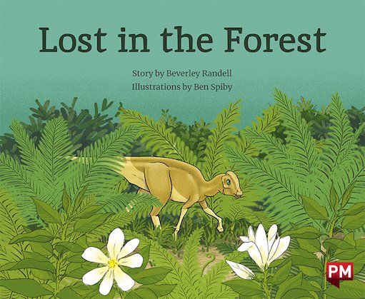 PM Orange: Lost in the Forest (PM Storybooks) Level 16