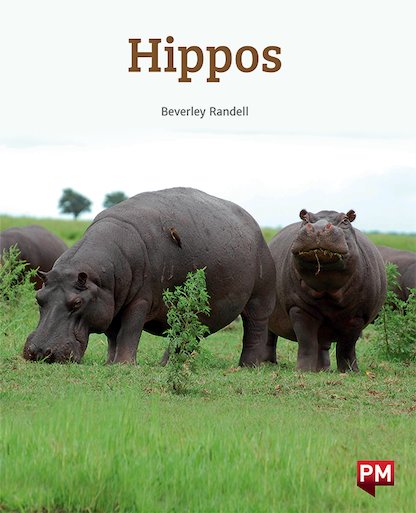 Hippos (PM Non-fiction) Levels 18/19