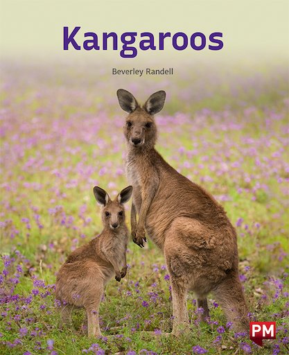 Kangaroos (PM Non-fiction) Levels 18/19