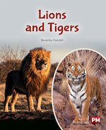 PM Turquoise: Lions and Tigers (PM Non-fiction) Levels 18/19
