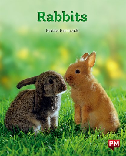 PM Orange: Rabbits (PM Non-fiction) Level 15/16 x 6