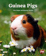 PM Orange: Guinea Pigs (PM Non-fiction) Level 15/16 x 6