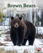 Brown Bears (PM Non-fiction) Levels 18/19 x 6