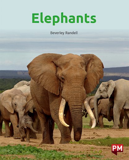 Elephants (PM Non-fiction) Levels 18/19 x 6