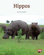 Hippos (PM Non-fiction) Levels 18/19 x 6